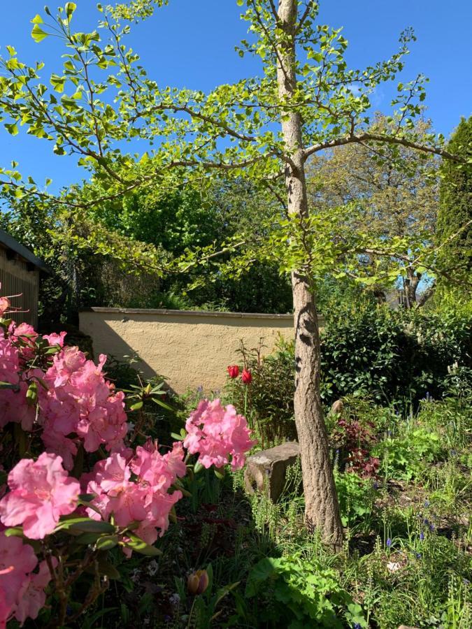 Ferienhaus Fidei Villa Zemmer Eksteriør billede